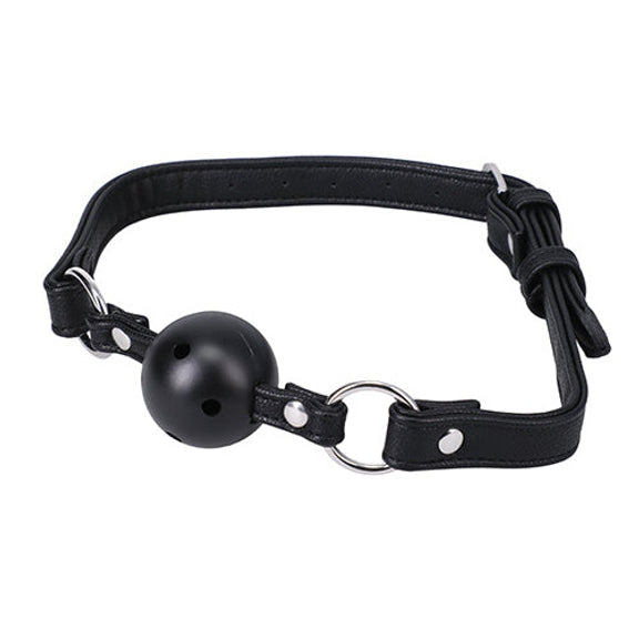 In A Bag Ball Gag in front of a plain white background | Kinkly Shop