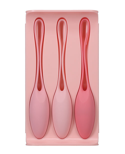 The tray that the three kegel exercisers of the In A Bag Kegel Trainers come in | Kinkly Shop