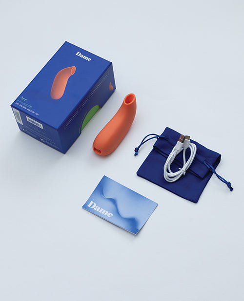 Everything that comes with the Dame Aer. There's the packaging, the drawstring bag, the instruction booklet, and the Dame Aer toy itself. | Kinkly