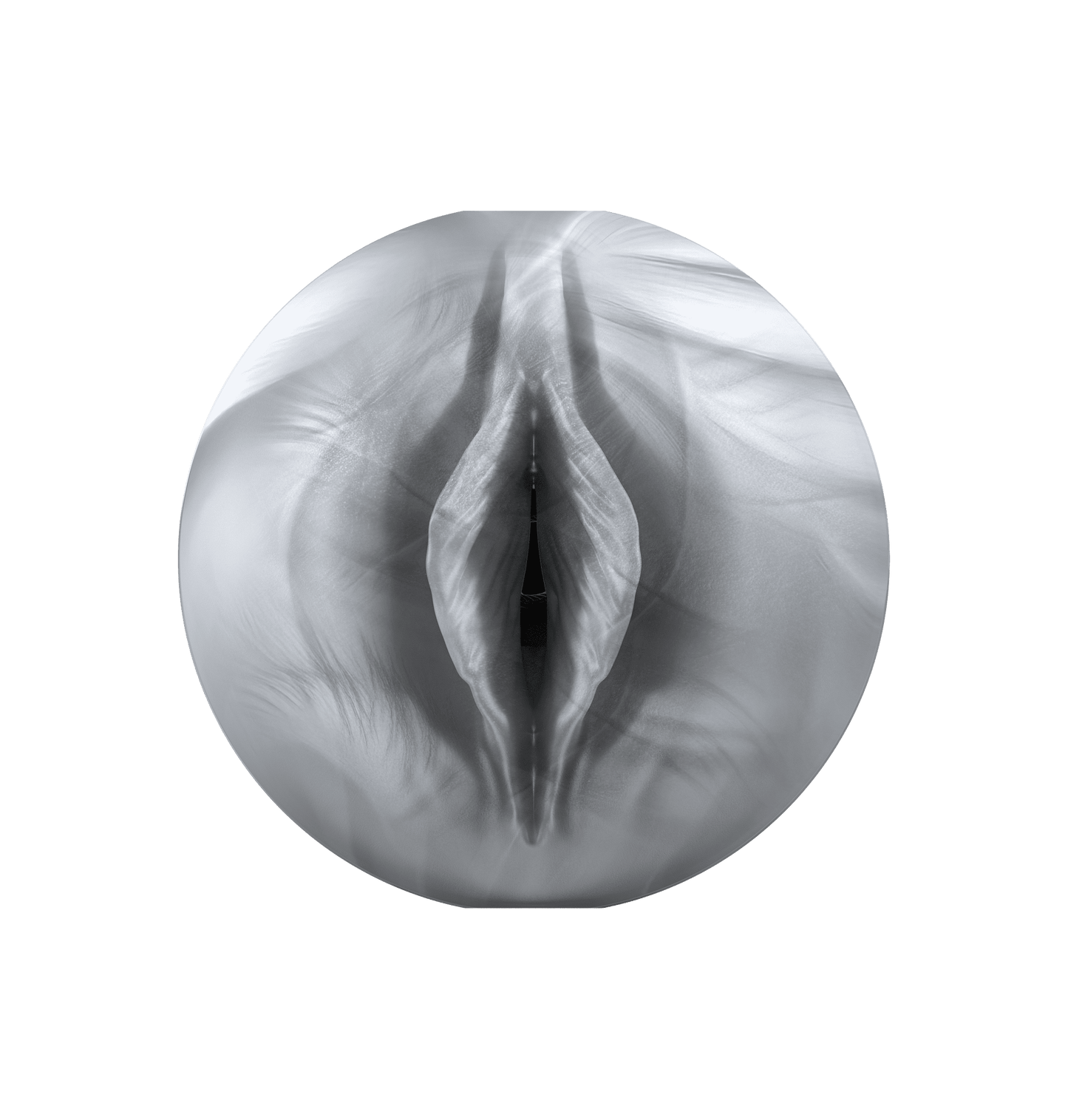 258909251.png