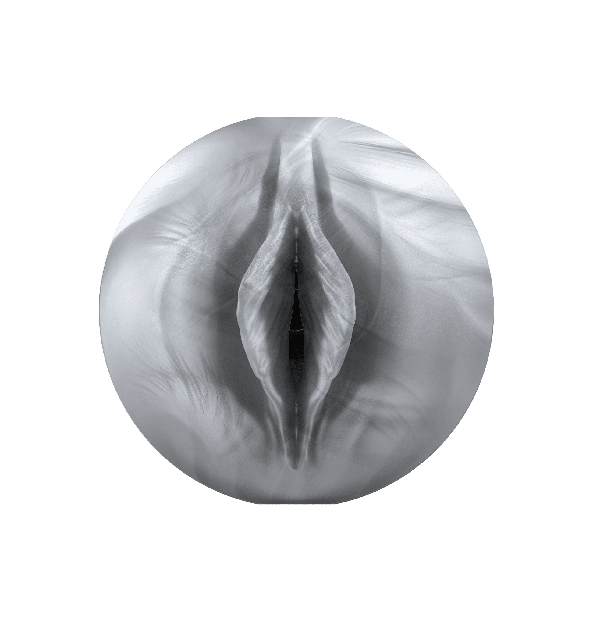 258909251.png