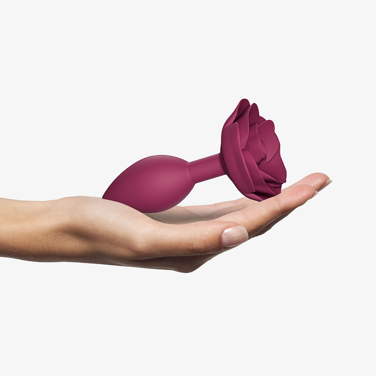 Open Roses