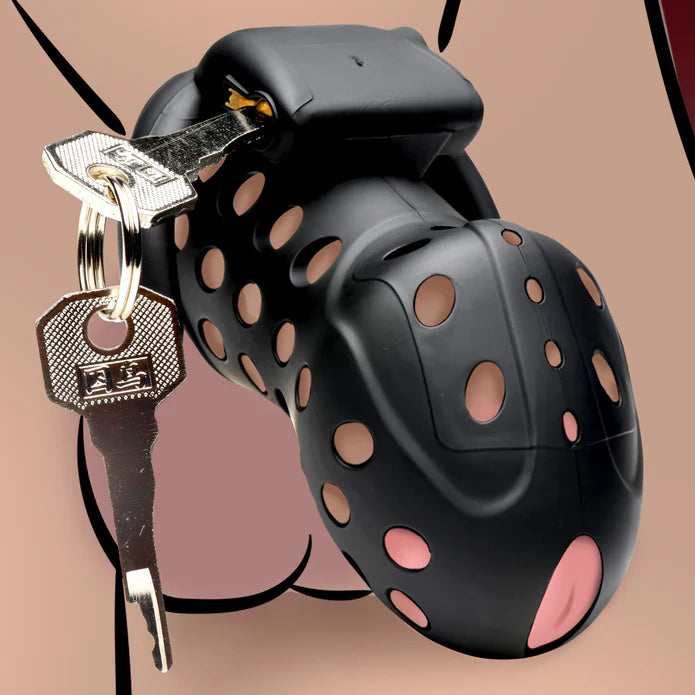 Master Series Lock Down
