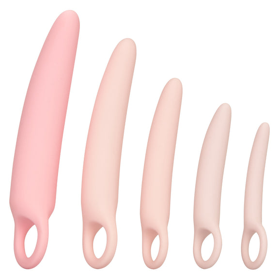 Inspire Dilator Kit