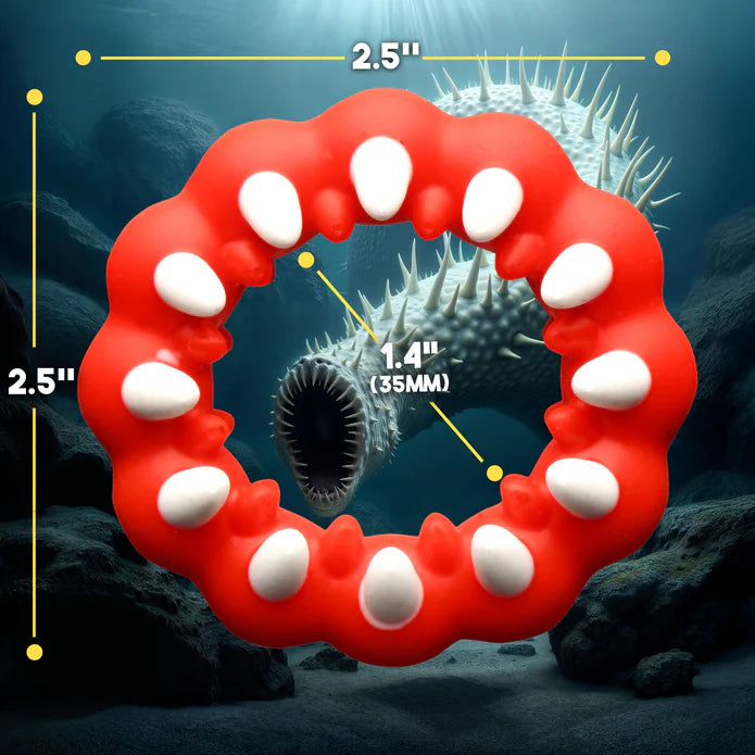 The Creature Cocks Fangs with measurements written overtop of the cock ring. t's 2.5" in width and length with an interior, unstretched diameter of 1.4" | Kinkly
