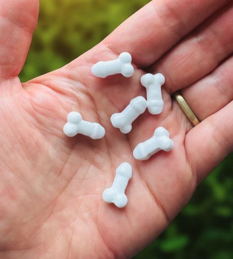 Super Fun Penis Mints