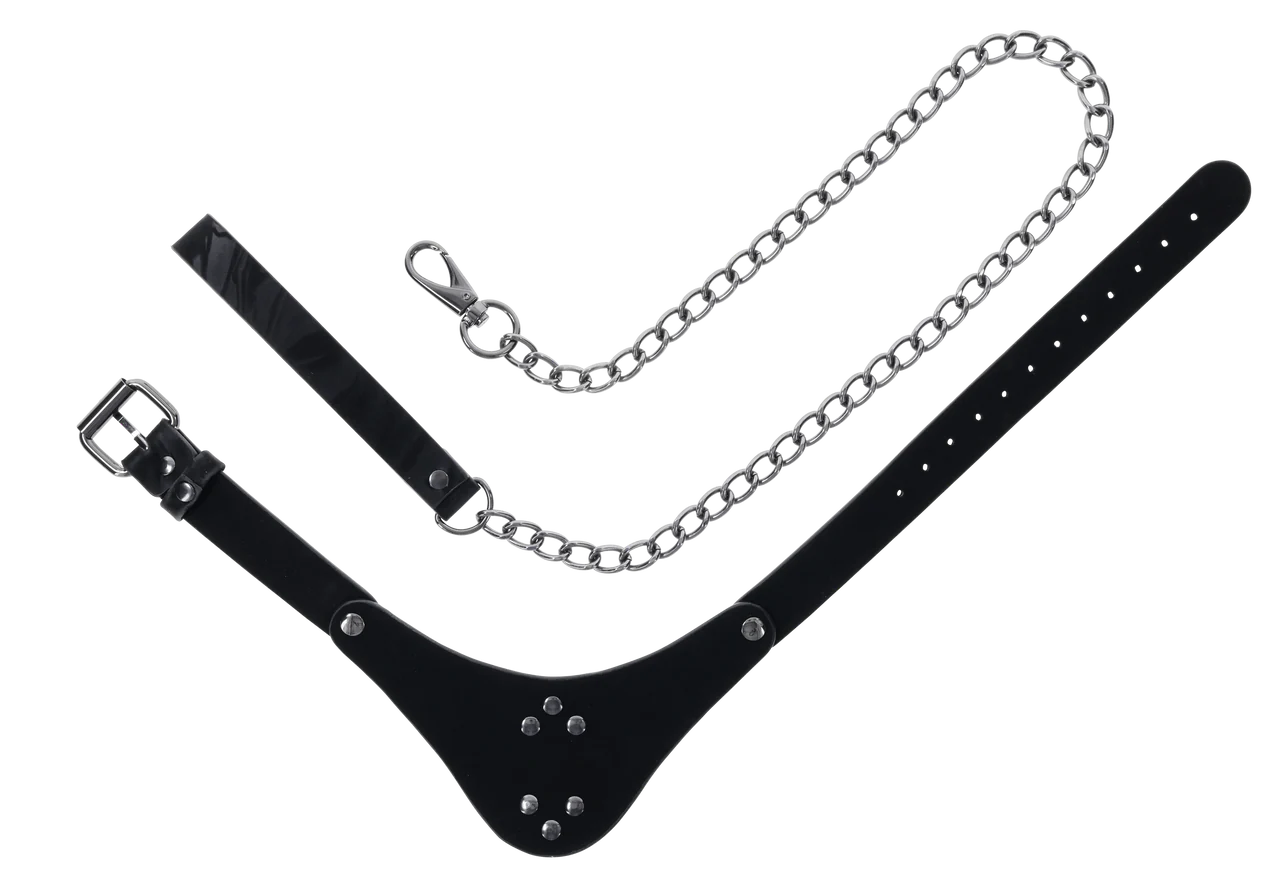 Every part of the Sportsheets Velvet Noir Collar and Leash laid out flat to showcase how it all looks. | Kinkly