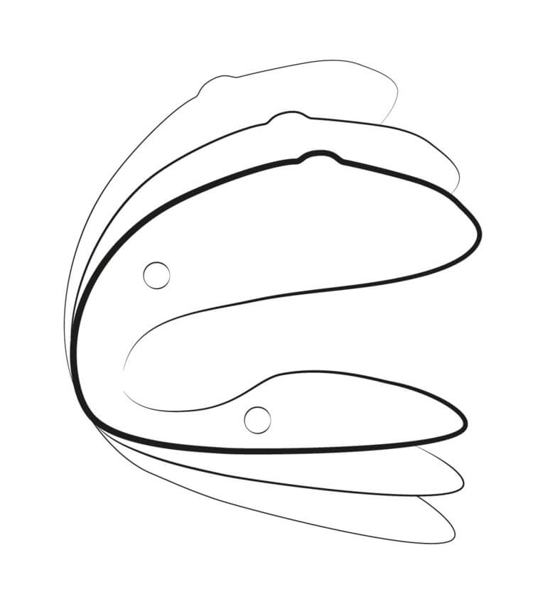 Illustration of the We-Vibe Chorus showcases the two hinge joints and the movement that both ends of the vibrator can make once those hinge joints are activated. | Kinkly Shop