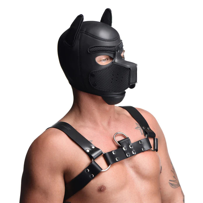 A person is wearing the Master Series Spike Puppy Hood with a chest harness | Kinkly
