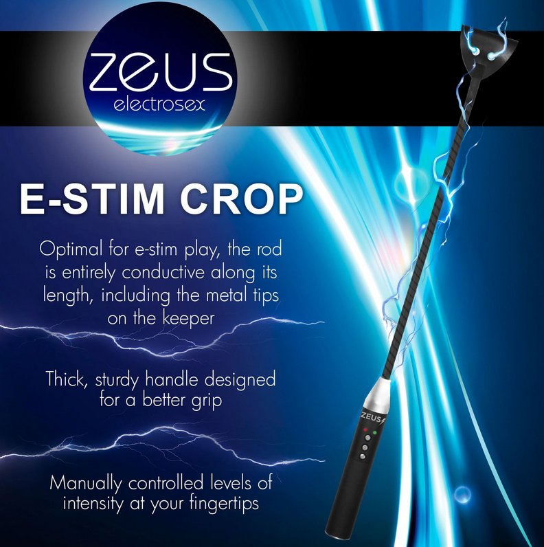 Zeus Electrosex Riding Crop