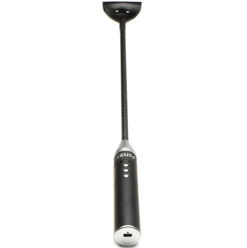 Zeus Electrosex Riding Crop