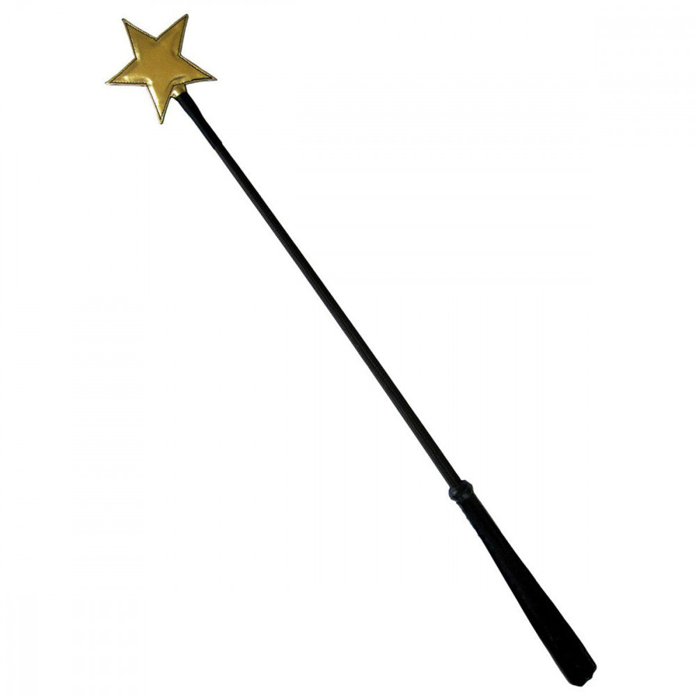 Ruff Doggie Styles Gold Star Crop | Kinkly Shop