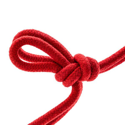 Bondage à la corde pour débutants