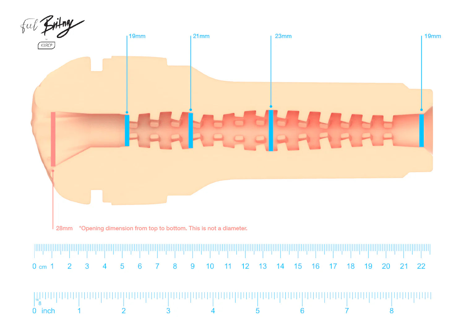 Cross-section of the stroker's interior with measurements of the various tightness points inside of the stroker. | KInkly Shop
