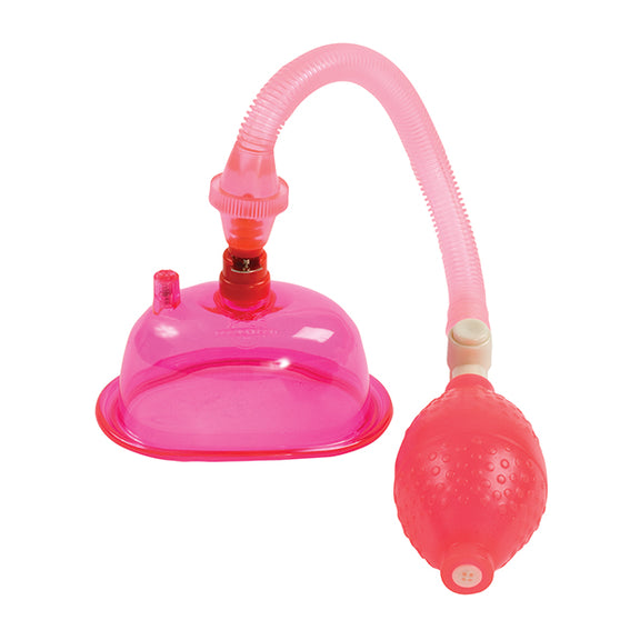 In A Bag Pussy Pump in front of a plain white background | Kinkly Shop