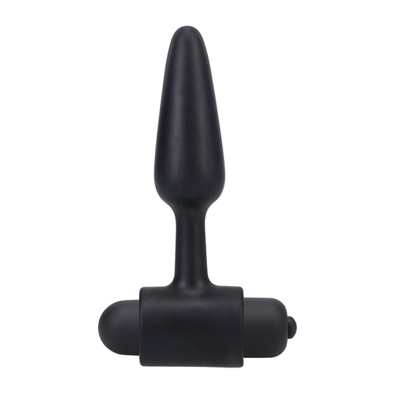 In A Bag Vibrating Butt Plug