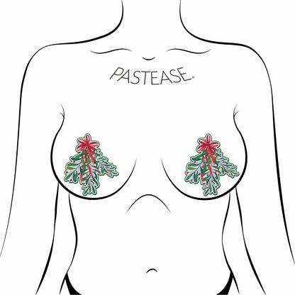 Pastease xmas winter mistletoe w/ red bow