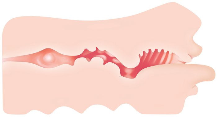 Cross-section of the Zero Tolerance Real Mouth Stroker showcases the texture inside the stroker. | Kinkly Shop