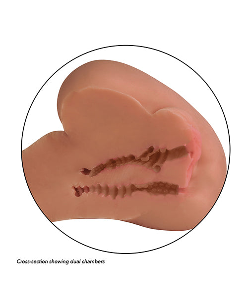 Cross-section of the interior of the Stroke It Side Banger showcases the two individual tunnels within the Stroke It Side Banger, each with their own texture and entrance hole. | Kinkly Shop