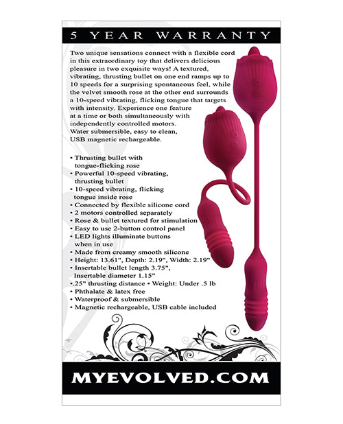Backside of the Evolved Wild Rose packaging | Kinkly Shop