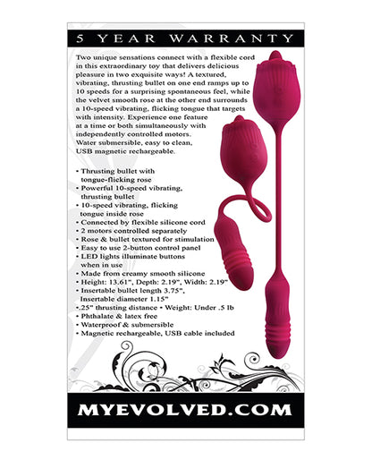 Backside of the Evolved Wild Rose packaging | Kinkly Shop