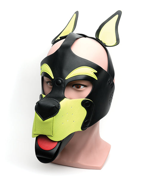 The Black/Yellow 665 Playful Pup Hood | Kinkly Shop