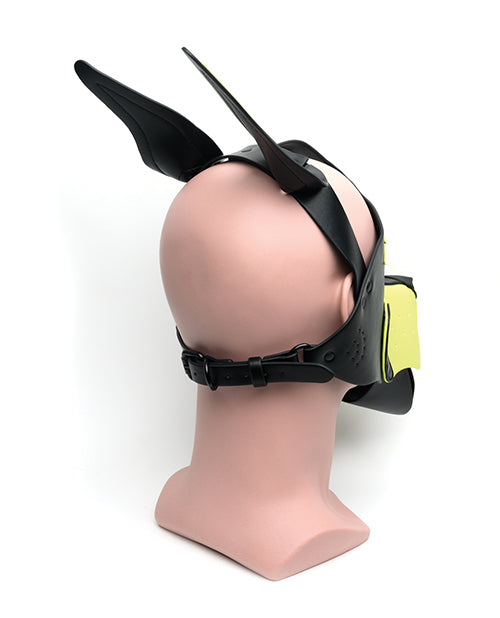 Backside of the 665 Playful Pup Hood | Kinkly Shop