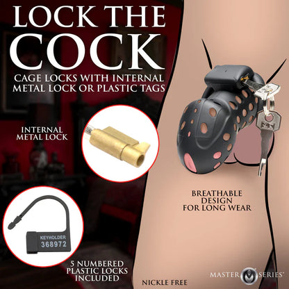 Master Series Lock Down