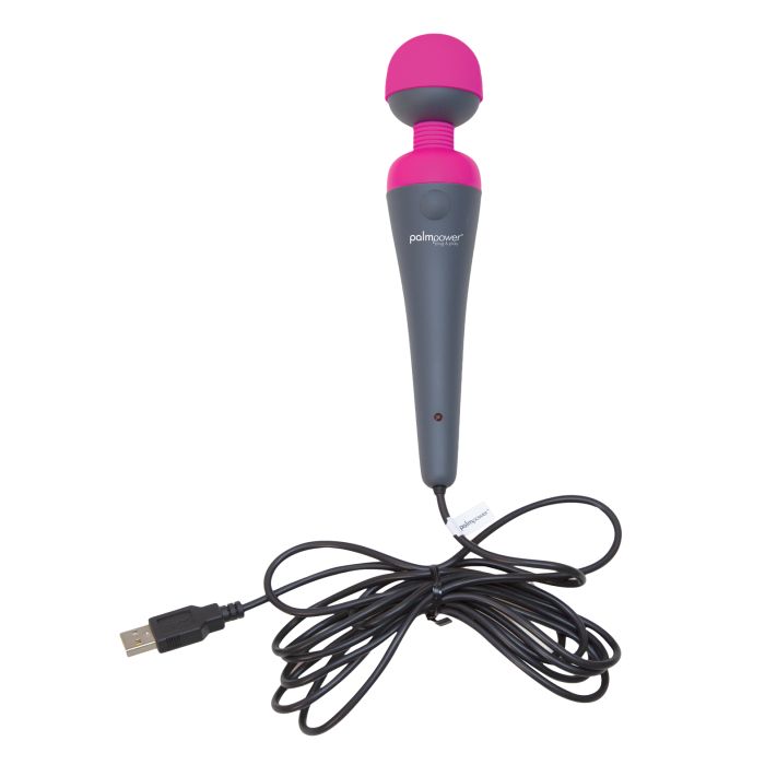 Palm Power Plug & Play