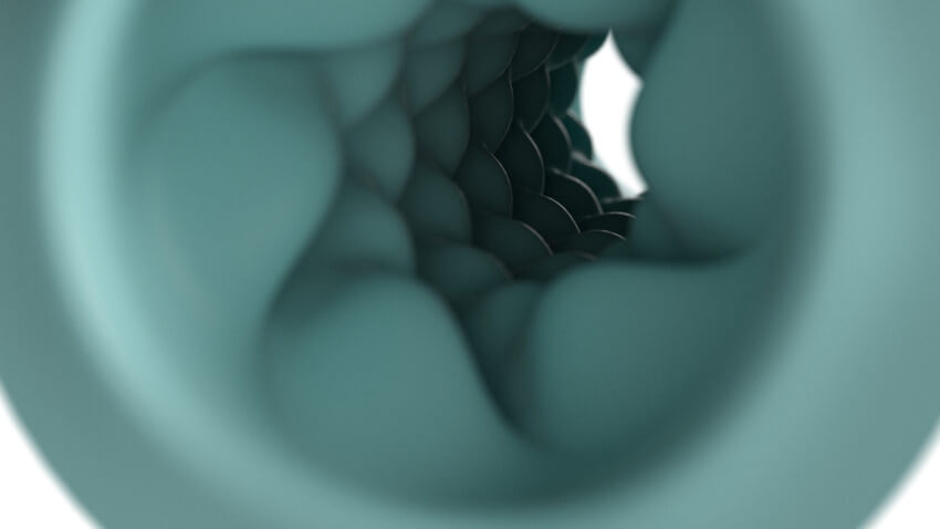 Close-up of the bubbled, noduled texture that is uniform throughout the entirety of the inside of the Pow. | Kinkly Shop