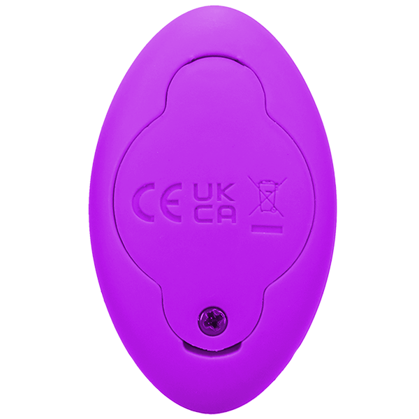 Backside of the remote control which is battery operated. There's a screw and door that keeps the battery inside the remote. | Kinkly Shop