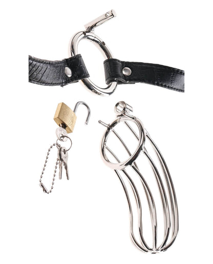 Close-up on the penis tube, base ring, and lock and keys that come with the Fetish Fantasy Extreme Chastity Cages | Kinkly Shop
