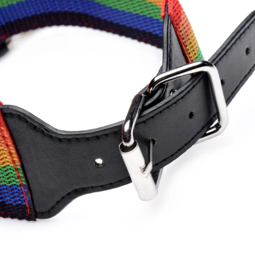 Close-up of the fastening strap that's built into the rainbow nylon straps of all of the rainbow gear. It uses a typical belt fastener. | Kinkly Shop