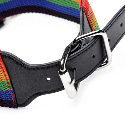 Close-up of the fastening strap that's built into the rainbow nylon straps of all of the rainbow gear. It uses a typical belt fastener. | Kinkly Shop