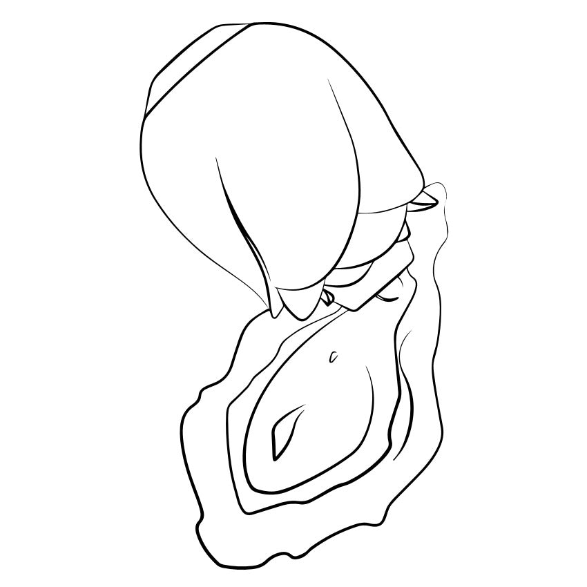 Illustration shows the ROMP Rose's air suction tip surrounding a clitoris on a vulva. | Kinkly Shop