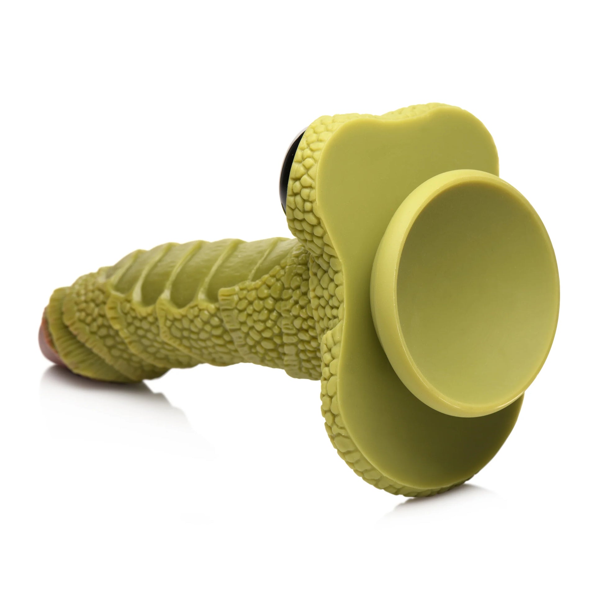 Close-up of the strong suction cup base on the bottom of the Creature Cocks Swamp Monster | Kinkly Shop