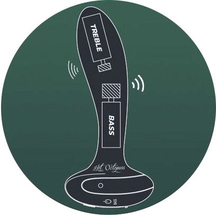 Illustrated image of the Hot Octopuss PleX with Flex. X-Ray illustration shows the interior design of the anal plug and the placement of the motors. This illustration shows that the Treble motor is found near the tip of the plug while the Bass motor is located at the slimmest diameter of the plug right near the base. | Kinkly Shop