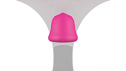 GIF shows the Lovense Ferri being placed into a pair of illustrated underwear. The text on the GIF says "Ferri can be used with any panty. Designed for public play, suitable for any location." | Kinkly Shop