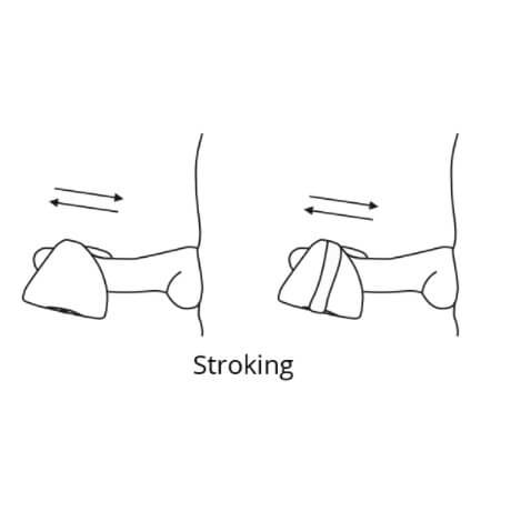 Illustrated image of the Lovense Gush wrapped around a penis. The text says "Stroking" and has an arrow showcasing how the Gush can be stroked up and down the penis while wrapped around it. | Kinkly Shop