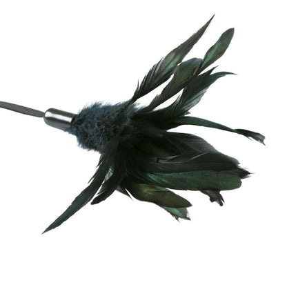 Sportsheets Pleasure Feather, Black - Kinkly Shop