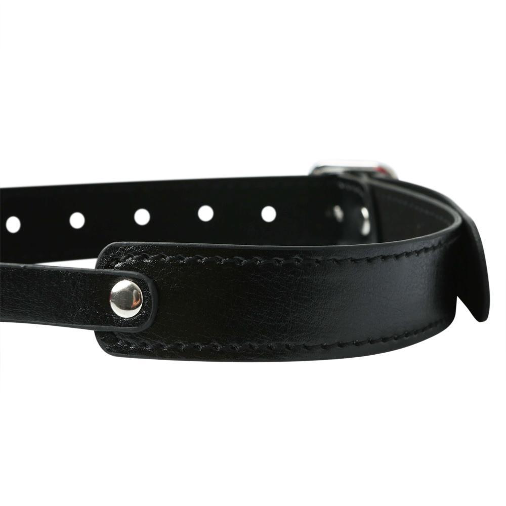 Sportsheets Solid Red Ball Gag - Kinkly Shop