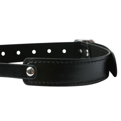Sportsheets Solid Red Ball Gag - Kinkly Shop