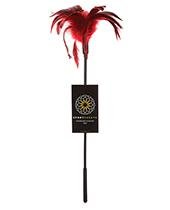 Sportsheets Starburst Tickler, Black - Kinkly Shop