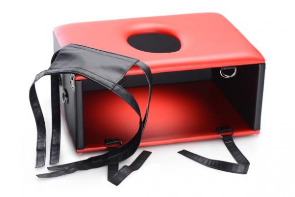Master Series Queening Chair with the head sling removed and under-the-arm straps undone | Kinkly Shop