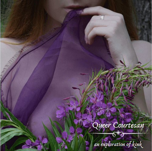 Image for Queer Courtesan