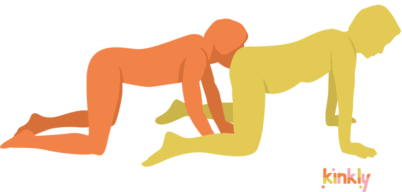 The Up the Middle Position: The receiving partner is on all fours. The giving partner is on all fours behind them with their face between the butt cheeks for rimming or cunnilingus.