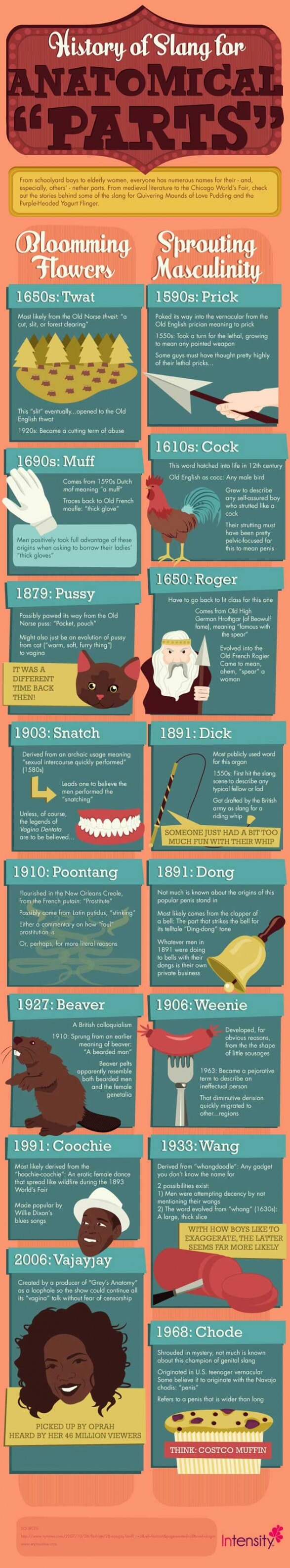 Slang for Private Parts Infographic