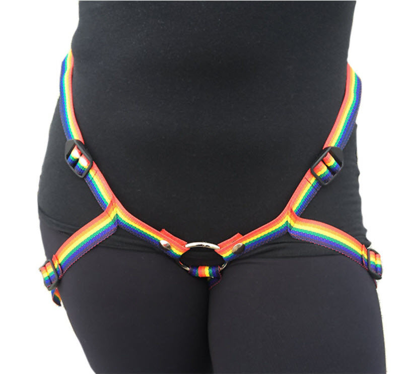 Rainbow inclusion harness