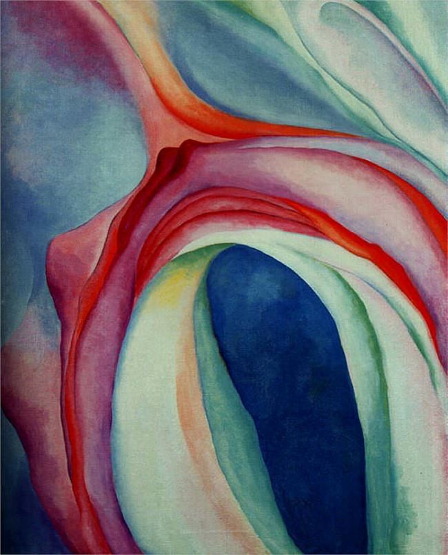 A Delicate Flower: The Vulva and Why We Should Appreciate It