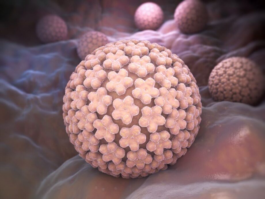 HPV: Separating Fact From Fiction
